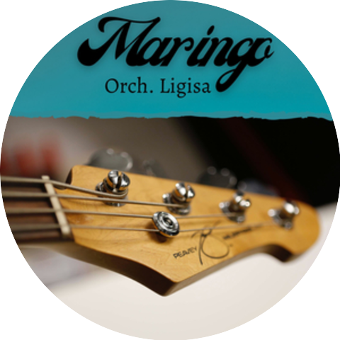 Orch. Ligisa