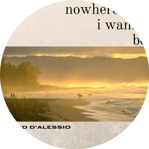 David D'alessio