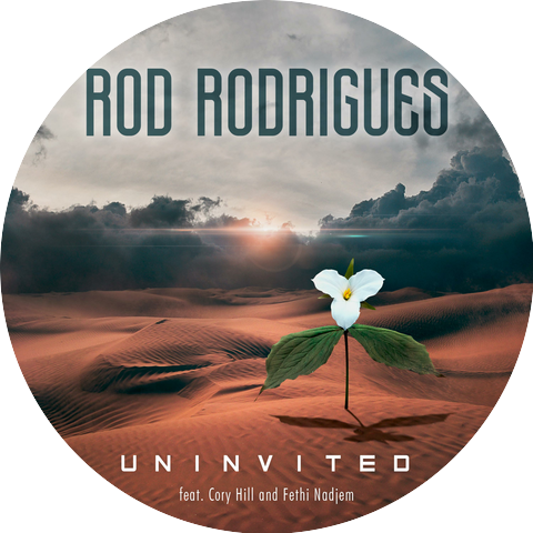 Rod Rodrigues