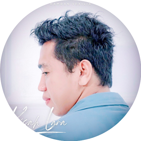 hamdan vexilia