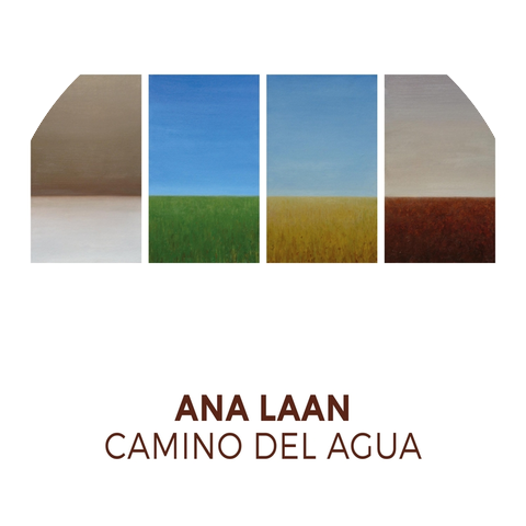 Ana Laan