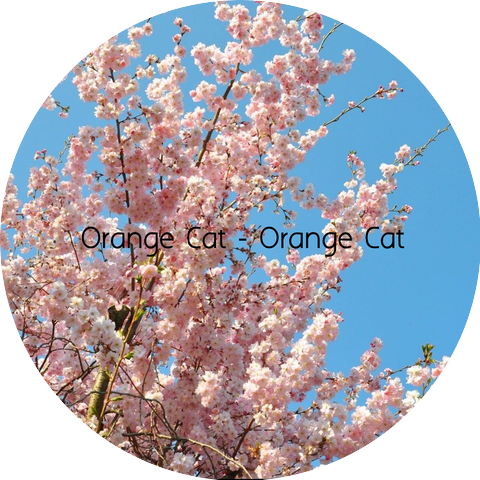 Orange Cat