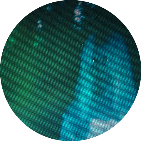 The Haunted Youth
