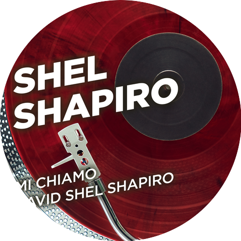 Norman David Shapiro