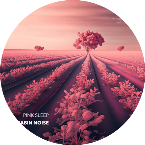 Pink Sleep
