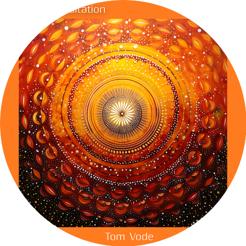 Tom Vode