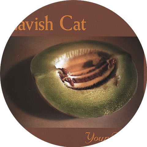 Lavish Cat