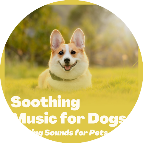 Music for Pets Specialists