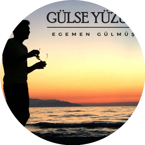 Egemen Gülmüş