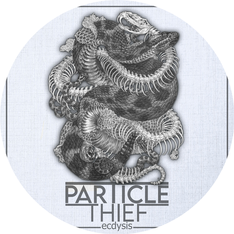 Particle Thief