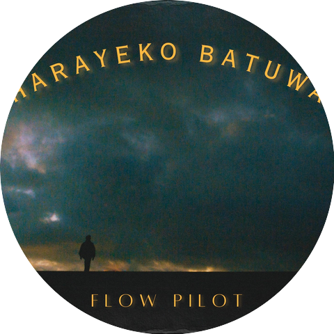 Flow Pilot
