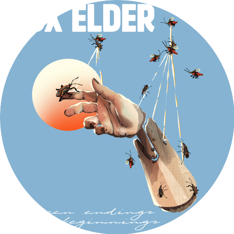 Box Elder