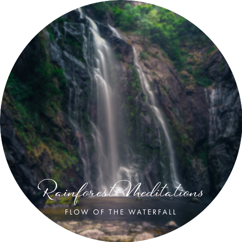 Rainforest Meditations