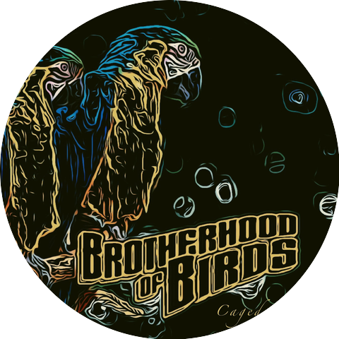 Brotherhood of Birds