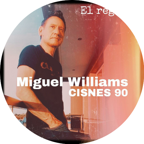 LOS CISNES 90