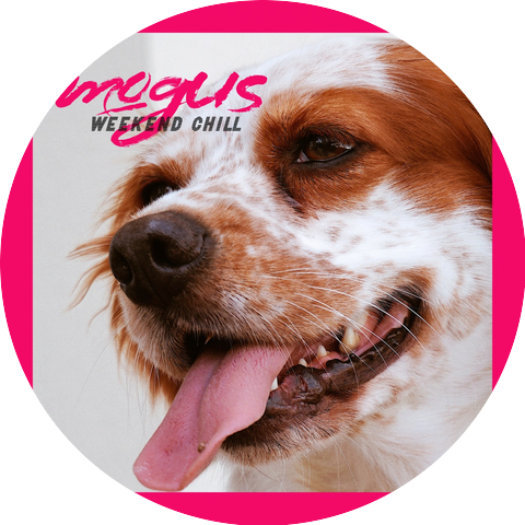 mogus
