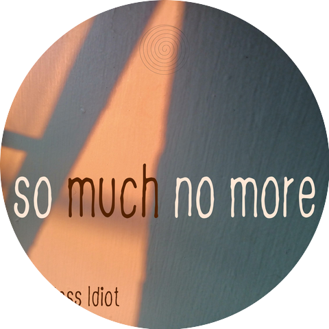 Endless Idiot