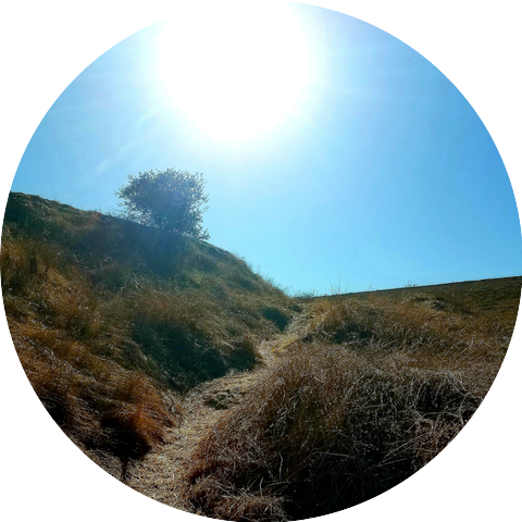 Dan Cao Fades to Light