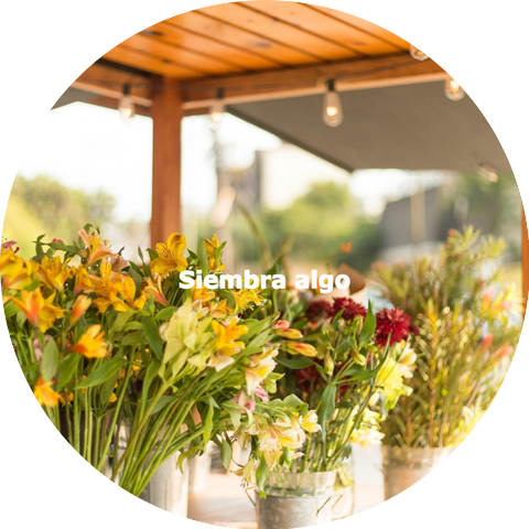 Jazz Bar Lounge Playlist