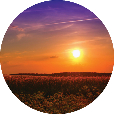 Mindlight Relaxing Music
