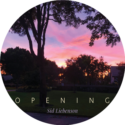 Sid Liebenson
