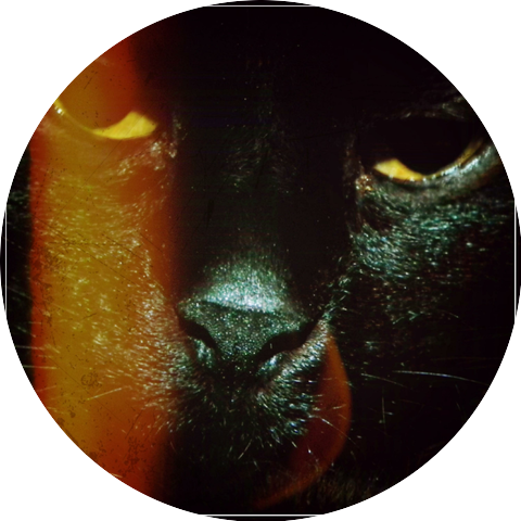 Furcatt