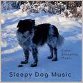 Sleepy Dog Music