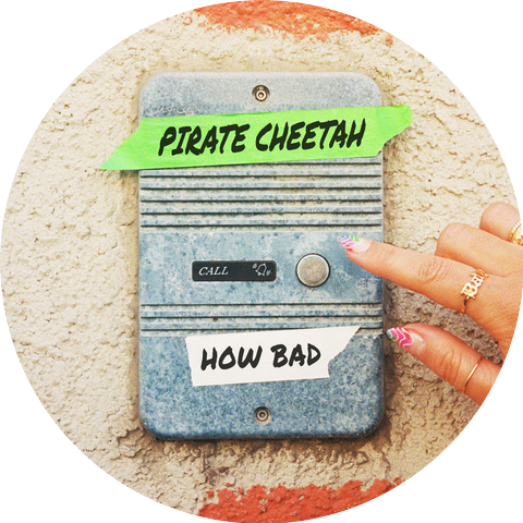 Pirate Cheetah