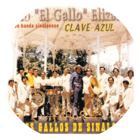 Lalo El Gallo Elizalde