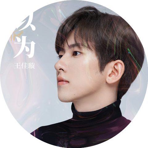 王佳男