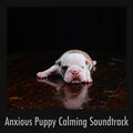 Calming Puppy Relaxation