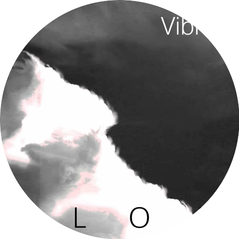Vibrio