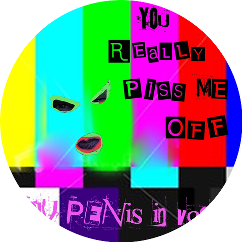 Penis in Vagina