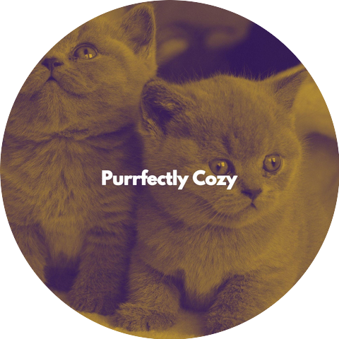 Relaxing Music for Cats