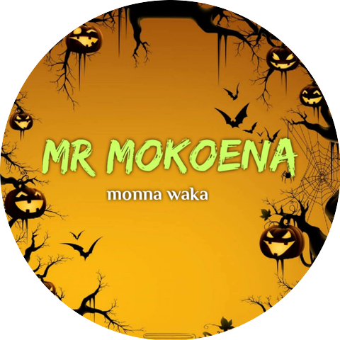 Mr Mokoena