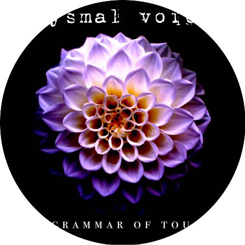 Abysmal Voices