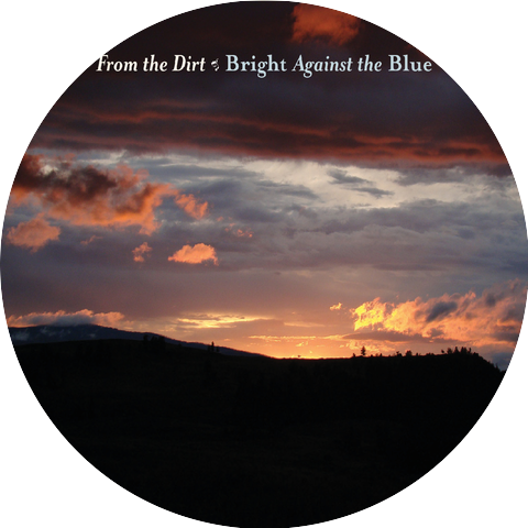 From the Dirt