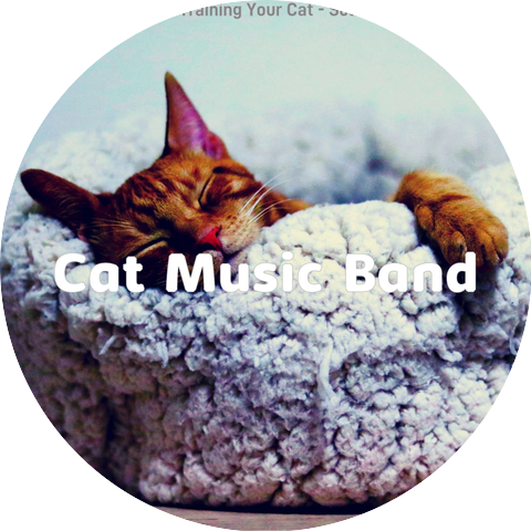 Cat Music Band