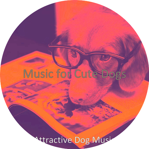 Attractive Cat Music