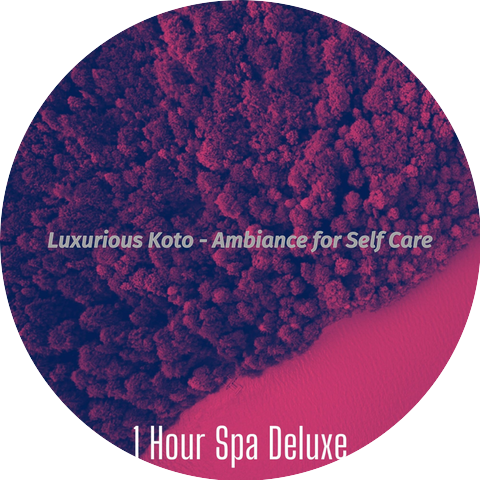 1 Hour Spa Deluxe