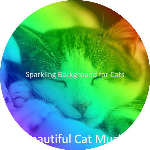 Beautiful Cat Music