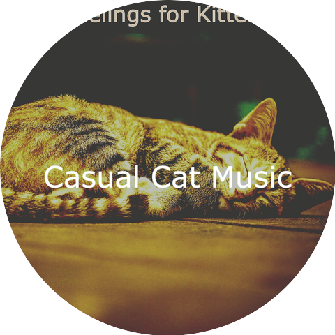 Casual Cat Music