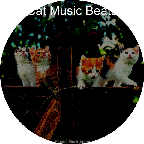 Cat Music Beats