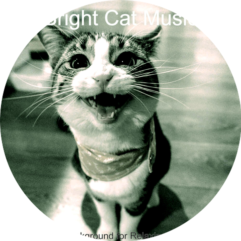Bright Cat Music