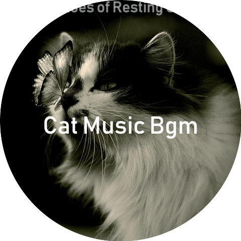 Cat Music Bgm
