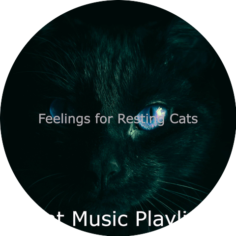 Cat Music Playlist