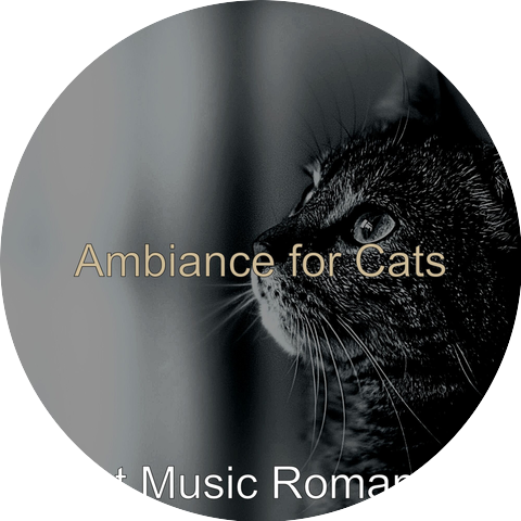 Cat Music Romance