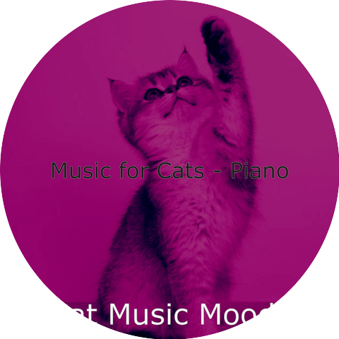 Cat Music Moods