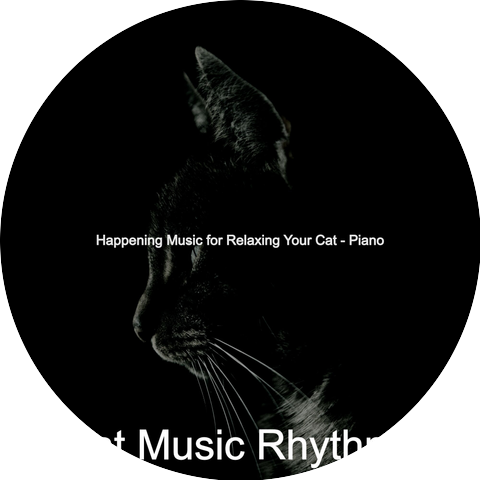 Cat Music Rhythms