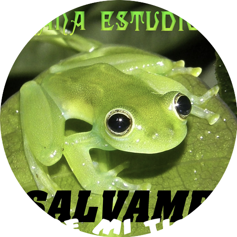 Rana Estudios